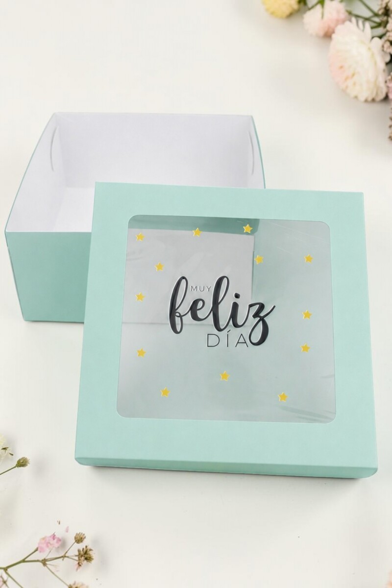 Caja flexi 20x20x9,5. c/visor impreso - VERDE AGUA - ESTRELLAS 