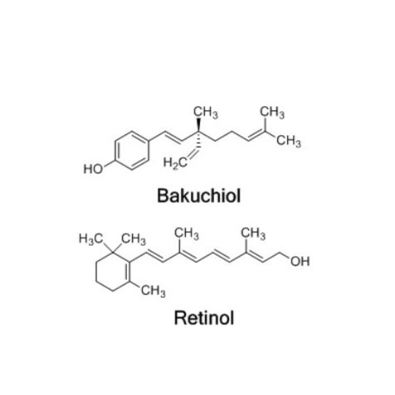 bakuchiol-retinol-circle-44ccc0b.jpg