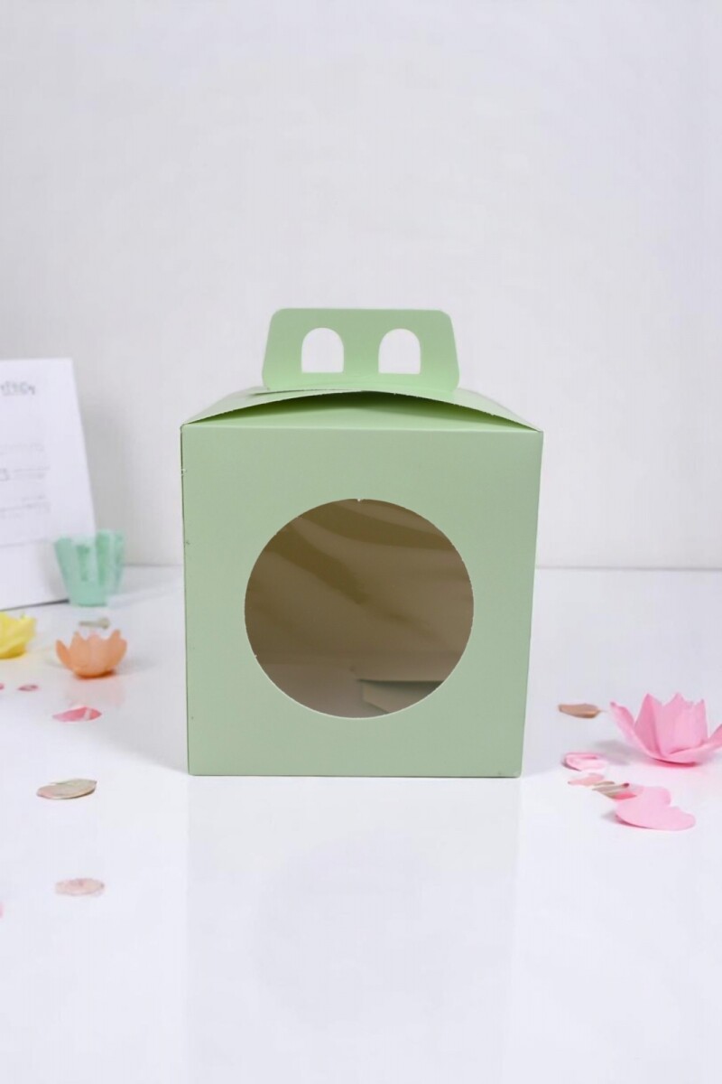 Caja 13x13x12 con visor + asa. - VERDE AGUA 