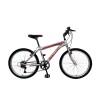 Bicicleta Baccio R.24 Niño Mtb Alpina Gris Plata
