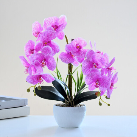 Orquidea Con Maceta Blanca Lila