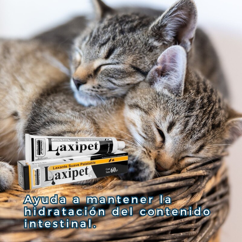 LAXIPET LAXANTE SUAVE PALATABLE PARA PERROS Y GATOS 60 G. LAXIPET LAXANTE SUAVE PALATABLE PARA PERROS Y GATOS 60 G.