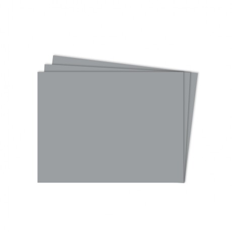 Cartulina 148g 50x70cm Funda x100 unidades Gris