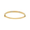 Brazalete Pulsera Cartier-Oro Bajo-Sin Piedra-BR8001 sinpiedra