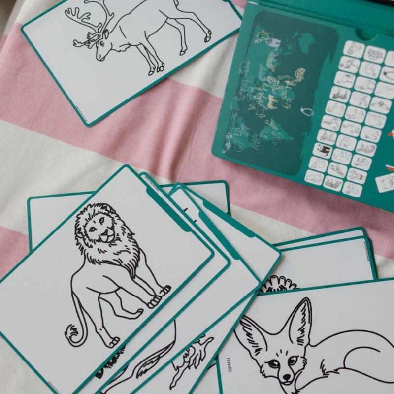 Mini Pizarra Led con libro y actividades Animales del mundo