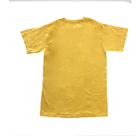 REMERA ETNIES TEAM Mustard