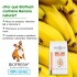 BIOFRESH PERROS ADULTOS RAZAS PEQUEÑAS Y MINI 3 KG