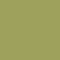 Sweater Grun Verde