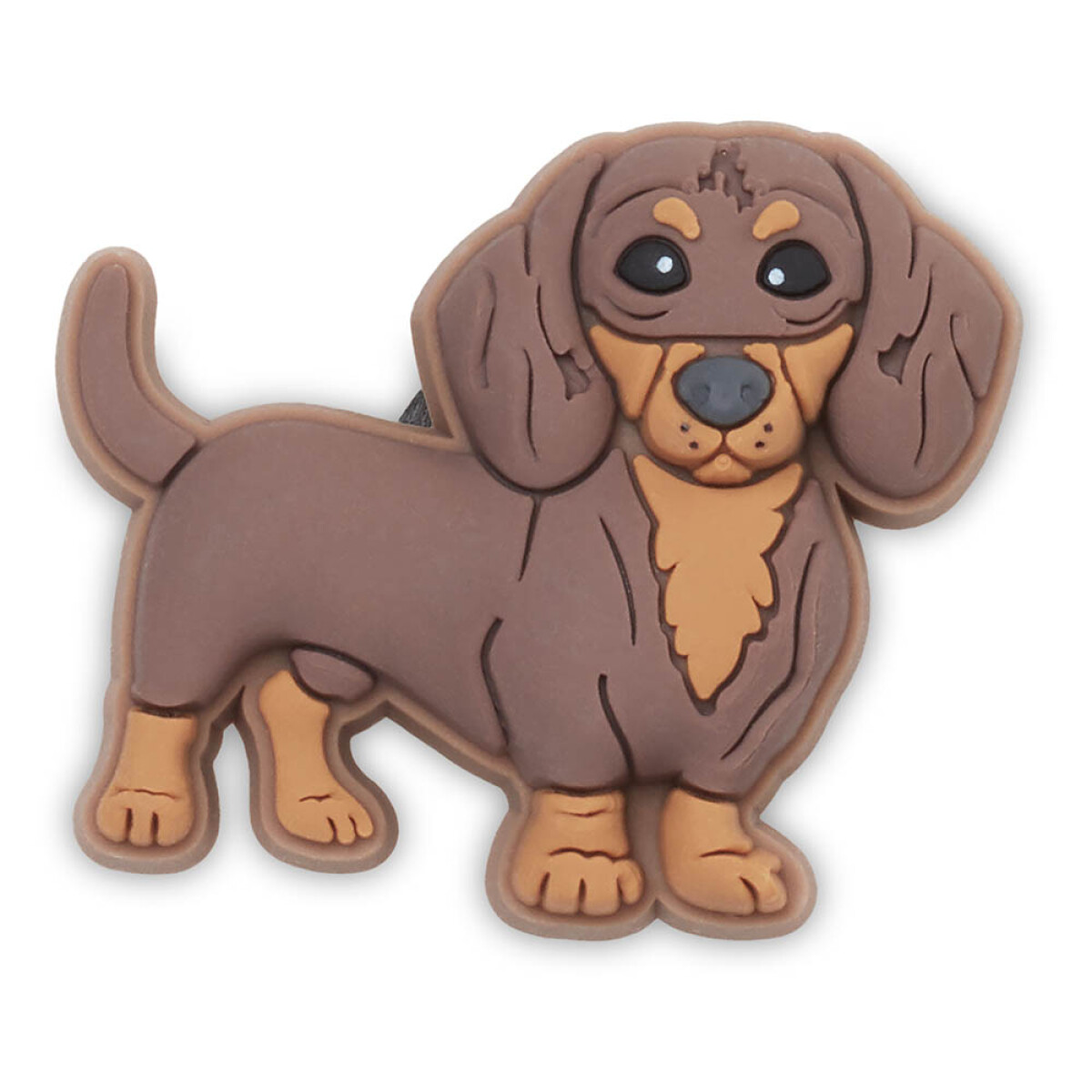Dachshund Puppy 