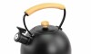 Caldera con Silbador - 2.5 L s Negra