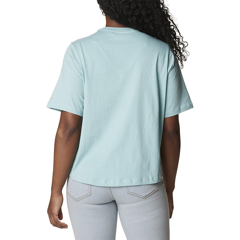 Remera North Cascades Relaxed T AQUA HAZE