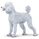 Caniche Safari 100063 Caniche Safari 100063