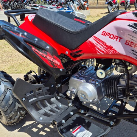 Mini Cuatri Bull 125 Mini Cuatri Bull 125