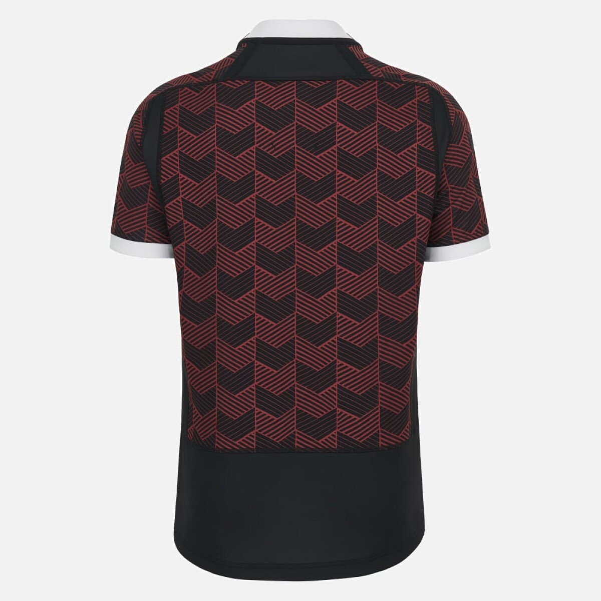 CAMISETA DE ENTRENAMIENTO WALES RUGBY CAMISETA DE ENTRENAMIENTO WALES RUGBY