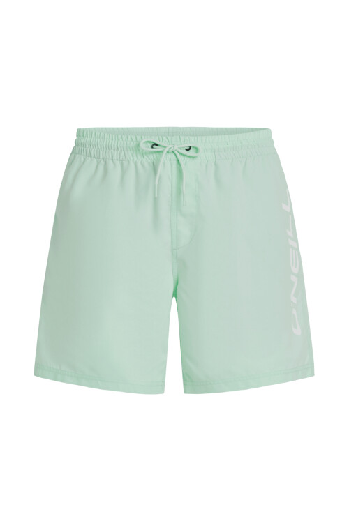 Short O'Neill Swim Trunk Verde
