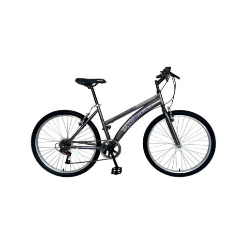 Bicicleta ALPINA LADY - Rodado 26 - Baccio Gris