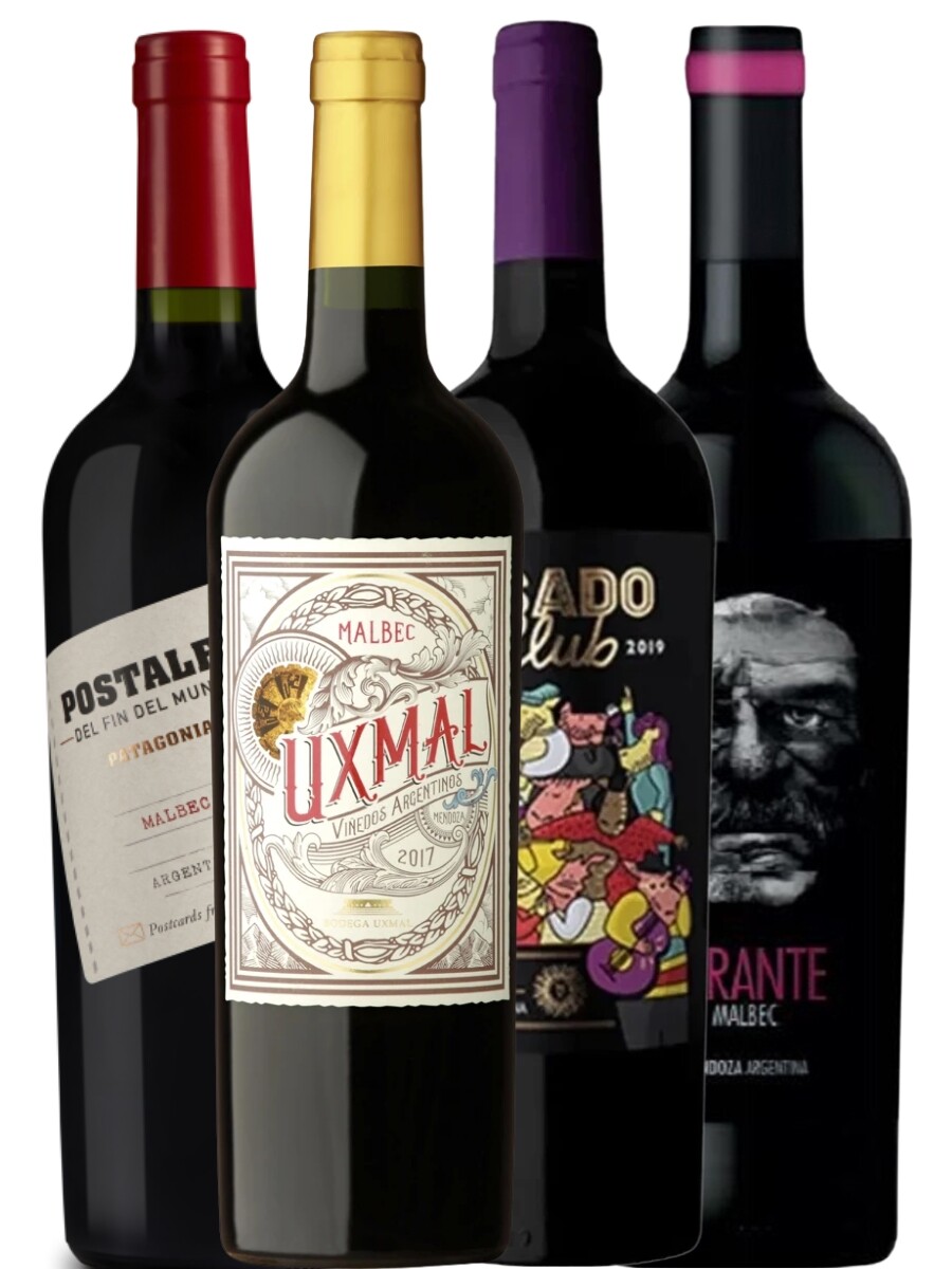 Promo Puro Malbec XXV 