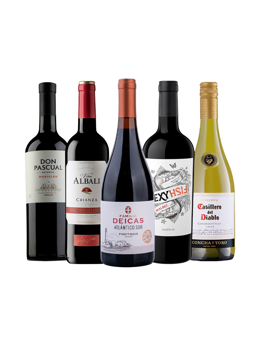 Pack Bacán Entre Sabores x5 vinos Calma de Domingo Pack Bacán Entre Sabores x5 vinos Calma de Domingo