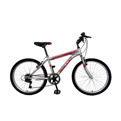 Bicicleta Baccio Alpina Man Rodado 24 Montaña Con 21 Cambios Shimano Gris
