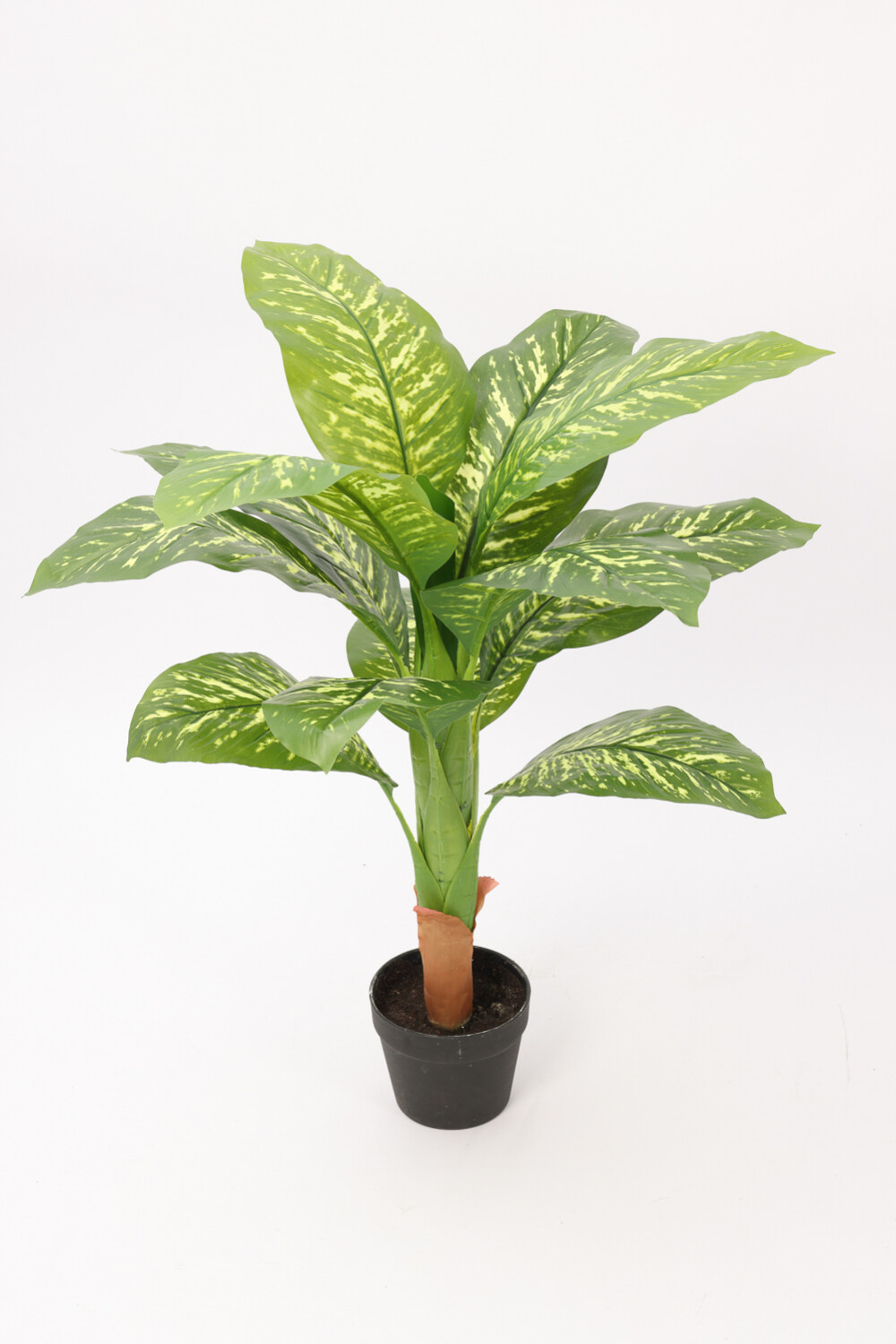 Planta Galatea 100cm Color Unico