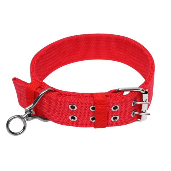 Collar Hebilla Nylon Perros Raza Grande 65 cm Ajustable Variante Color Rojo