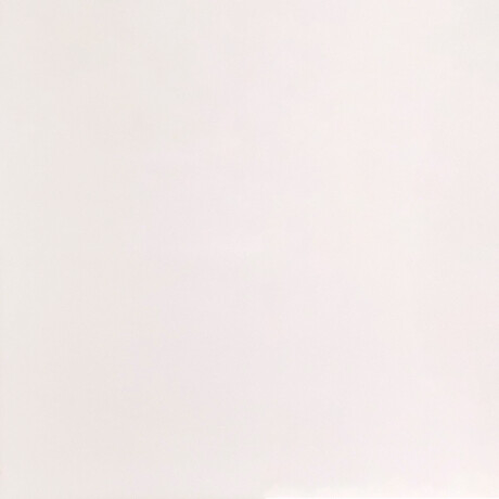 Porcelanato Blanco Mate Rectificado 60x60 Cm Piso Pared GAMAS DE BLANCO