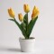 Planta Con Maceta Flor Tulipán Amarillo