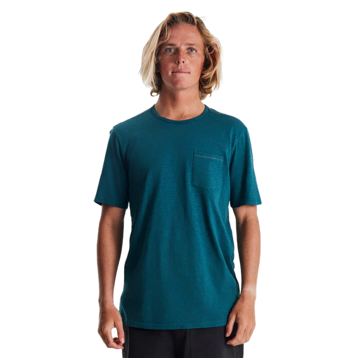 Remera Roark Well Worn Midweight Organic - Verde