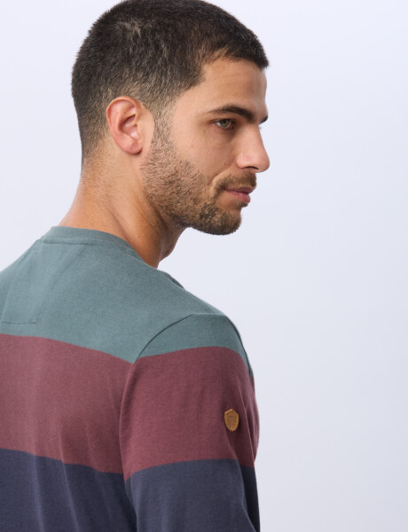 REMERA RAYADA DE ALGODÓN Azul