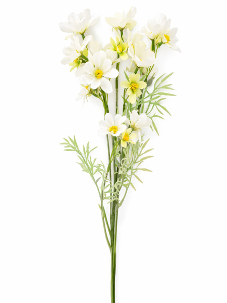 FLOR DE CRISANTEMO BLANCO