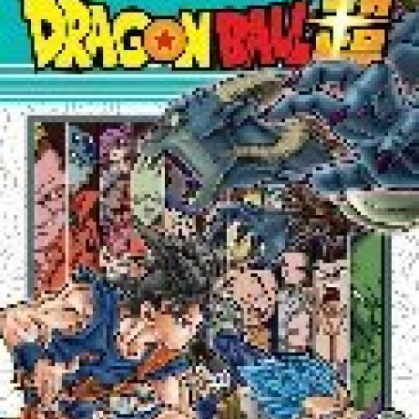 DRAGON BALL SUPER 13 DRAGON BALL SUPER 13