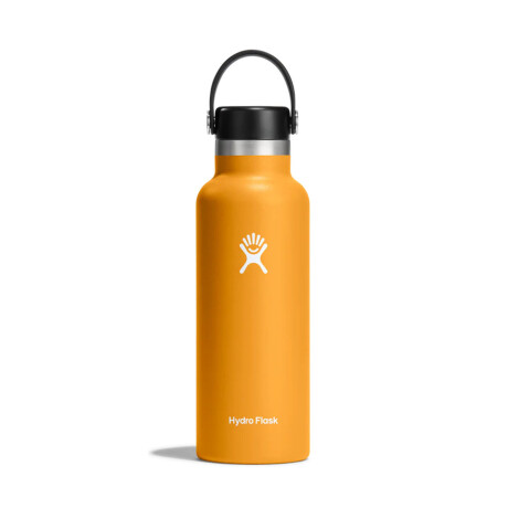 Botella 18 Oz. Standard Mouth Fossil