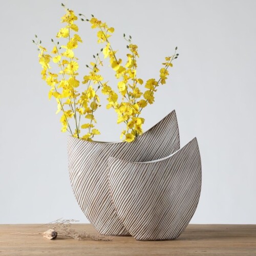 Corteza Curvo Marfil Pequeño Corteza Curvo Marfil Pequeño