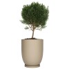 Macetero Copa 40 Beige c/ Plato Alto 40cm x 47cm Diam Boca, 25lts Macetero Copa 40 Beige c/ Plato Alto 40cm x 47cm Diam Boca, 25lts
