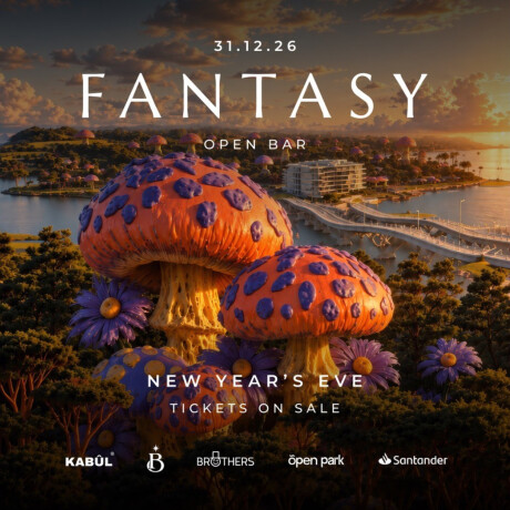 Fantasy NYE at Open Park Backstage +23