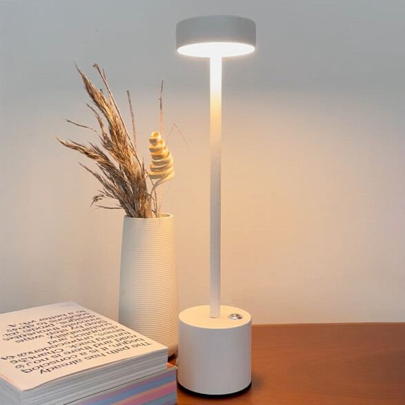 Portátil de mesa LED inalámbrica USB blanco IX9447