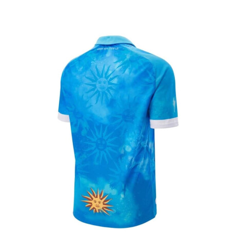 Camiseta Oficial Teros 2024