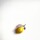 PIN FRUIT Limon
