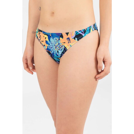 Vedetina básica est. Blue forest