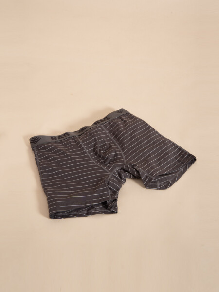 Boxer largo Estampado Gris