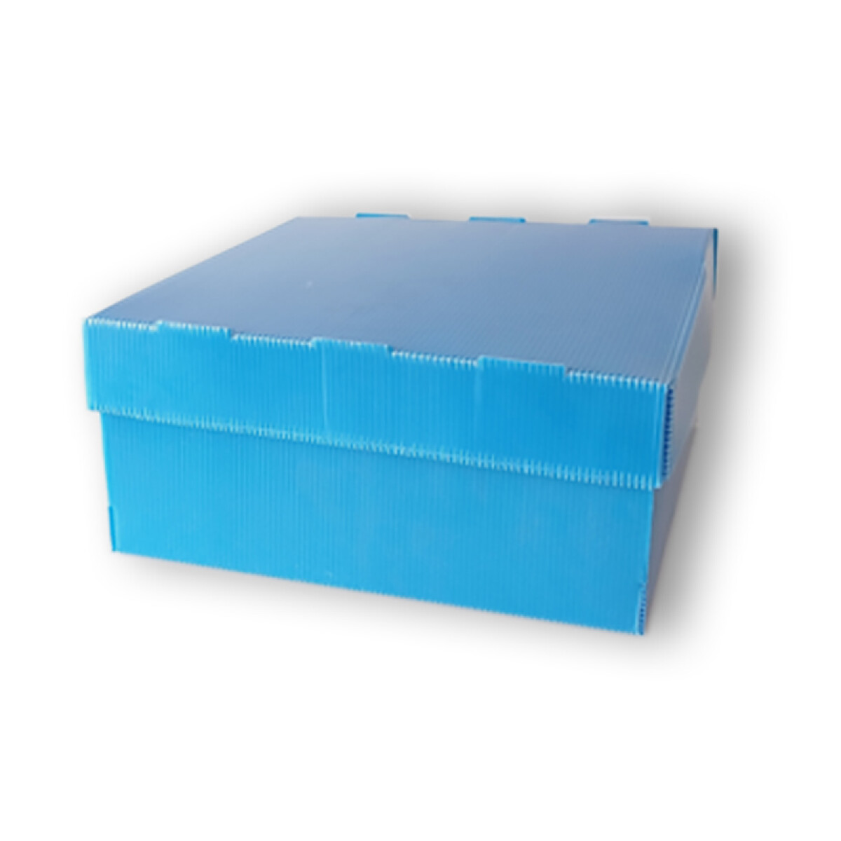 Caja para Torta 