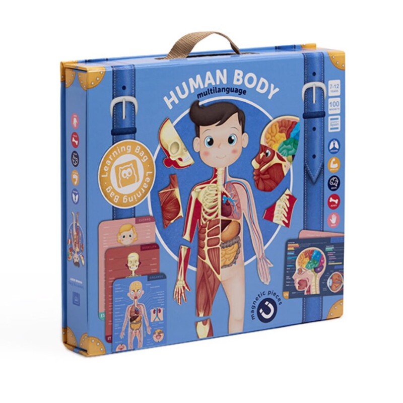 Juego Magnetico cuerpo Humano- 100 pzas Eureka Juego Magnetico Cuerpo Humano- 100 Pzas Eureka