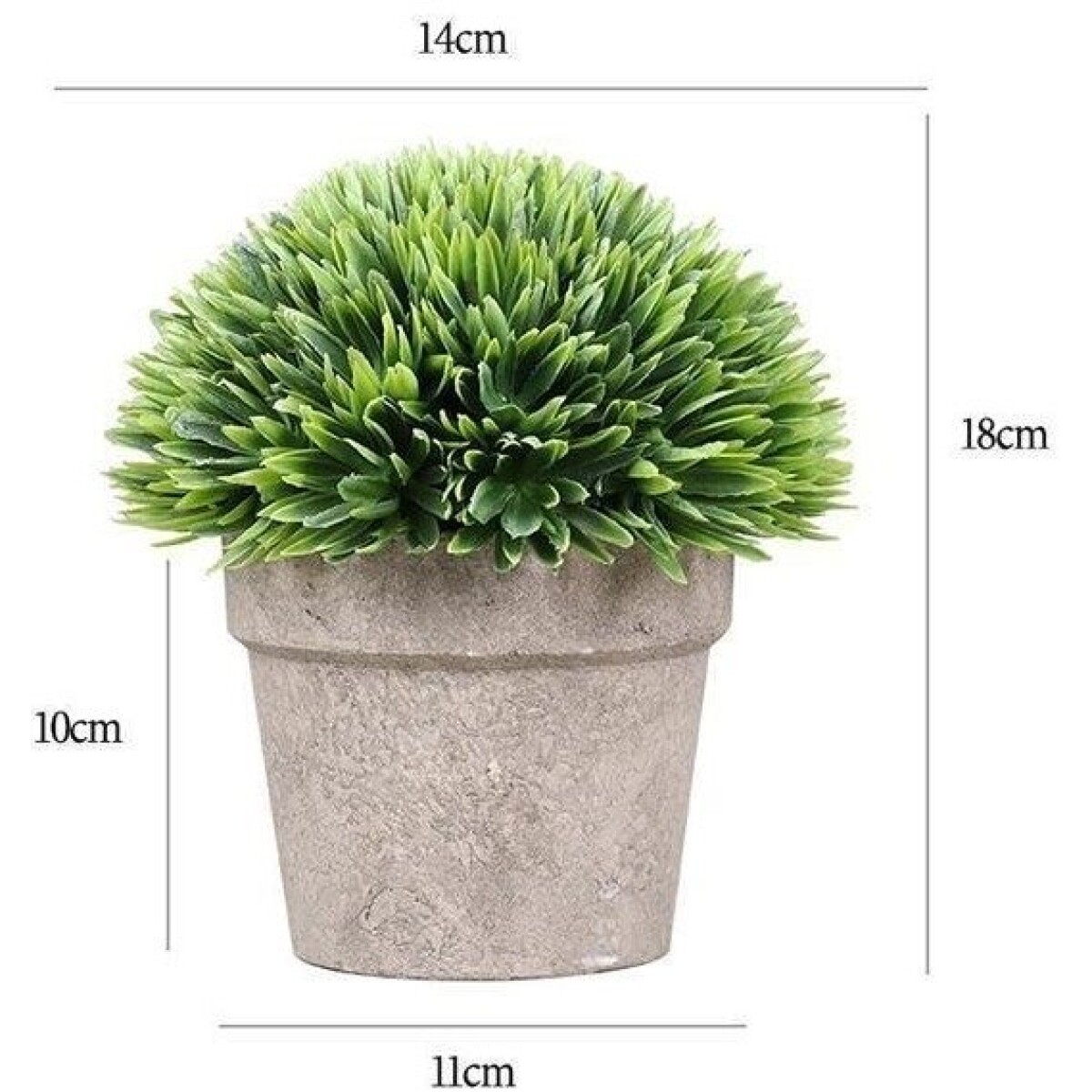 PLANTA LOTO GRANDE NEBULIZADO EN MACETA H18X14CM 