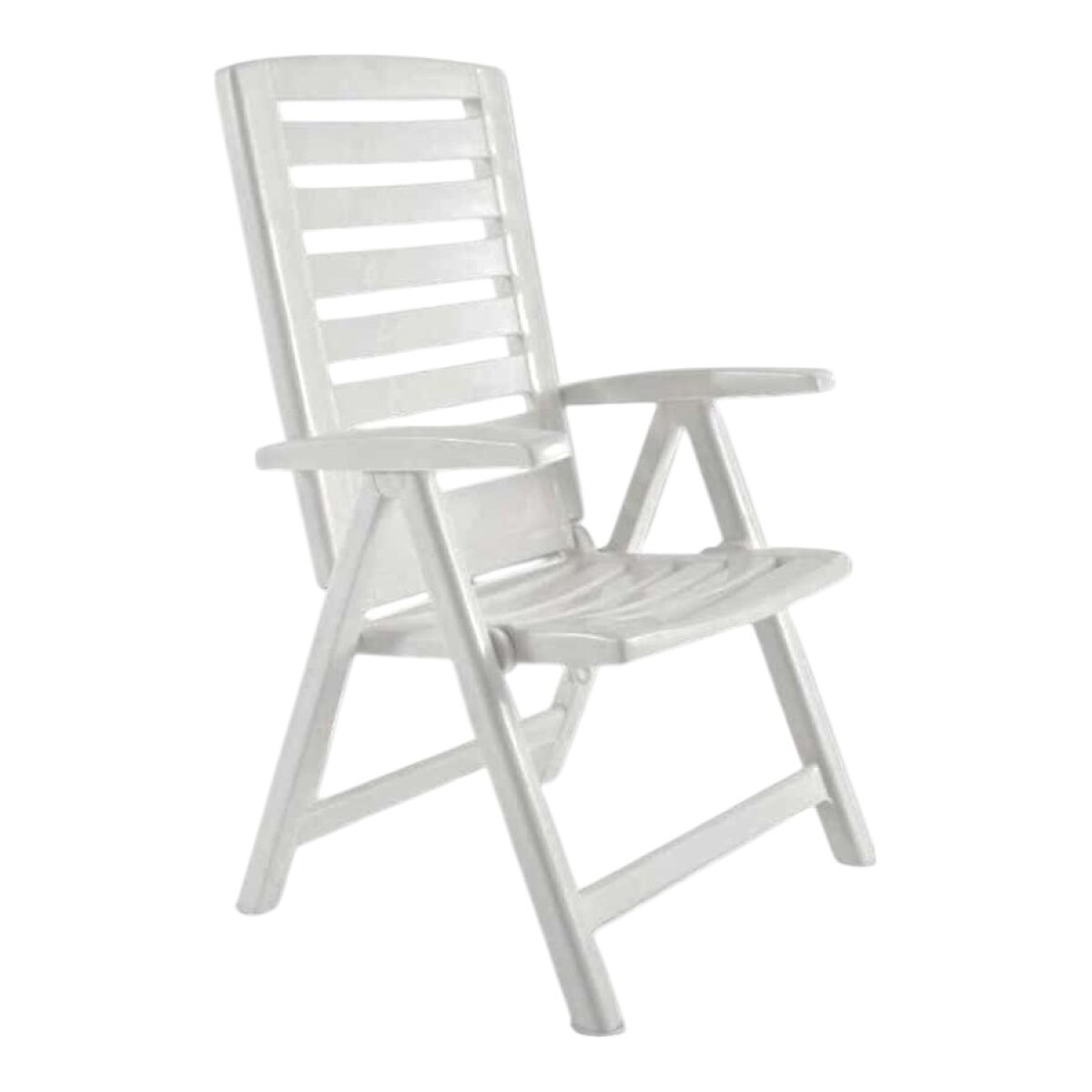 Reposera Sillón Ipanema Garden Life 