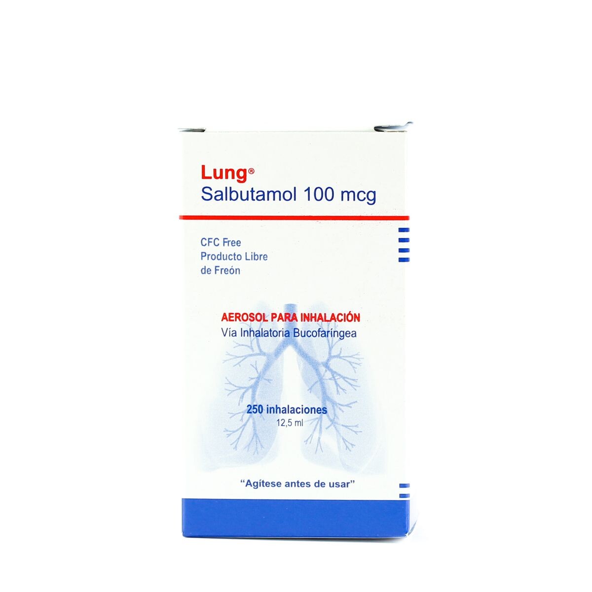 LUNG 100 MCG. AEROSOL 12,5 ML. FR. X 250 