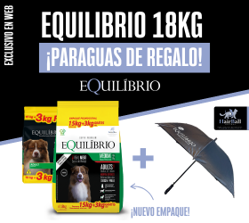 HomeMedio1