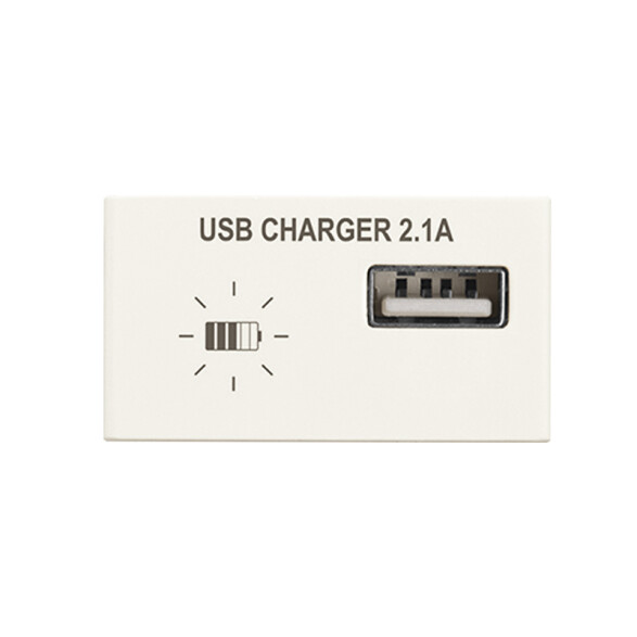 Módulo cargador USB 2,1A - Presta marfil C51624
