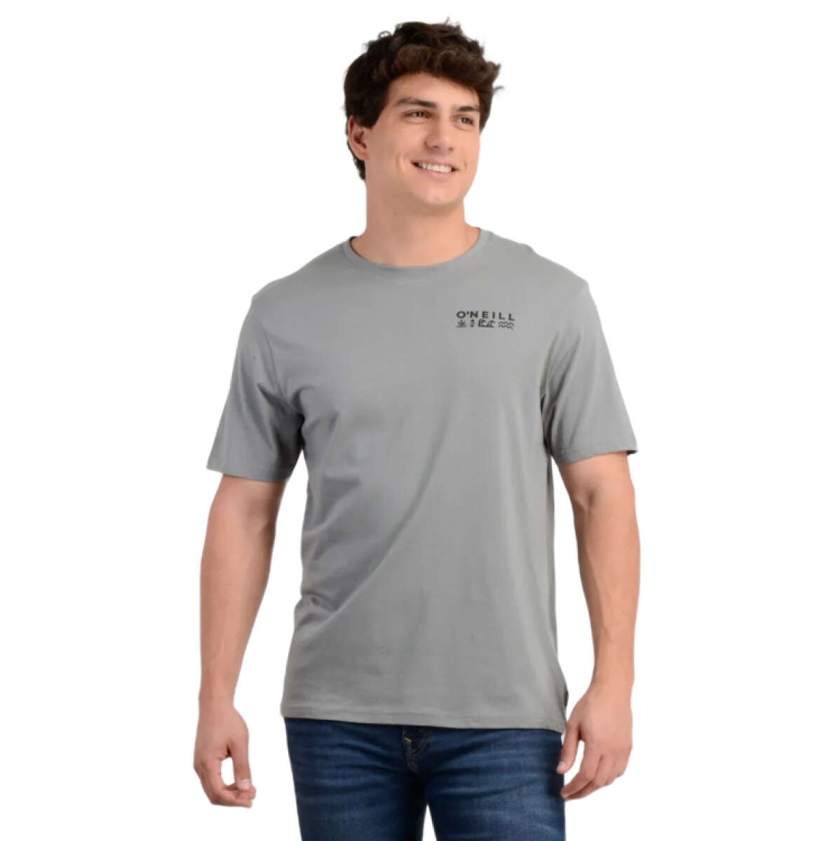 Remera Oneill Glyphs - Gris 