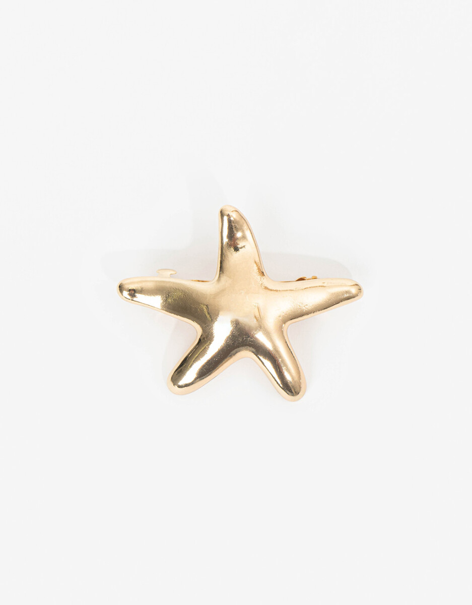 Hebilla Francesa De Estrella 