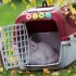 Perfumador X4 Dona Aromatica Ambiente Mascota Sanitario Perfumador X4 Dona Aromatica Ambiente Mascota Sanitario